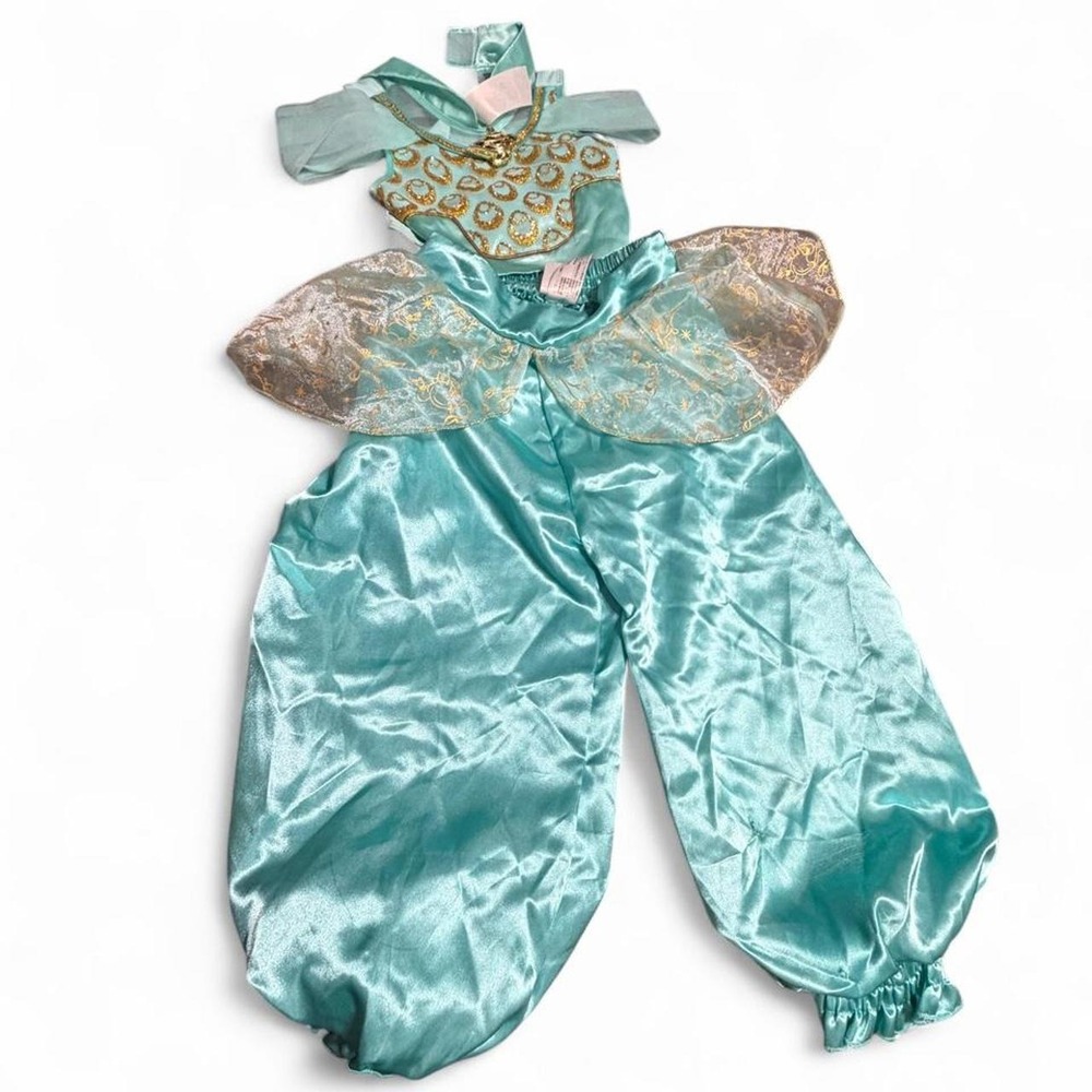 Disney parks Princess Jasmine costume